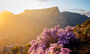 top 10 table mountain facts